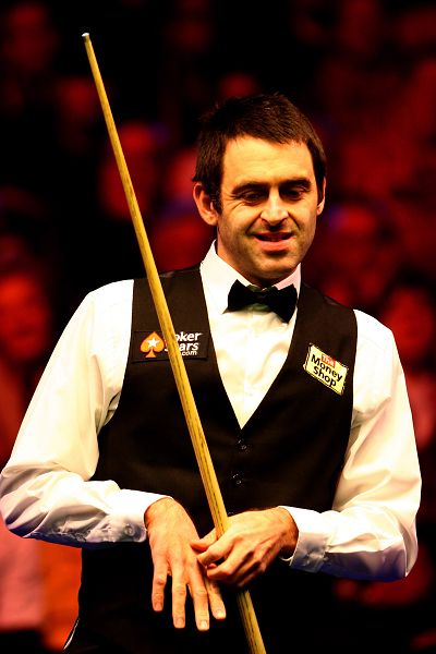 迅速建立起 迅速建立起