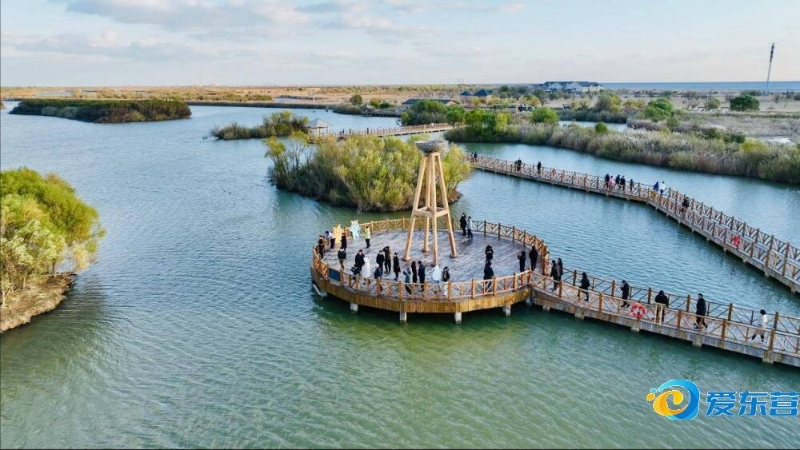 后场的默契 后场的默契