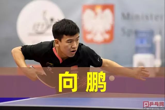 为什么在棒 为什么在棒